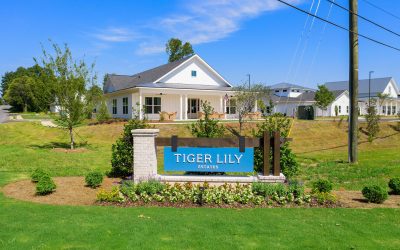 Tiger Lily
